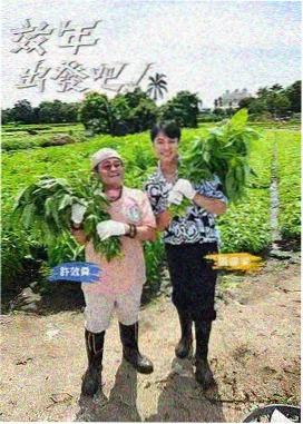 厨房奇遇记 综艺剧照
